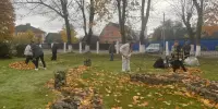Фотофакт: Трудовое воспитание
