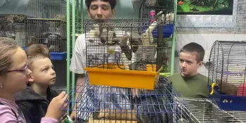 Экскурсия в ГДУО "Борисовский центр экологии и туризма"