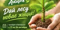 АКЦИЯ "ДАЙ ЛЕСУ НОВАЕ ЖЫЦЦЁ!"